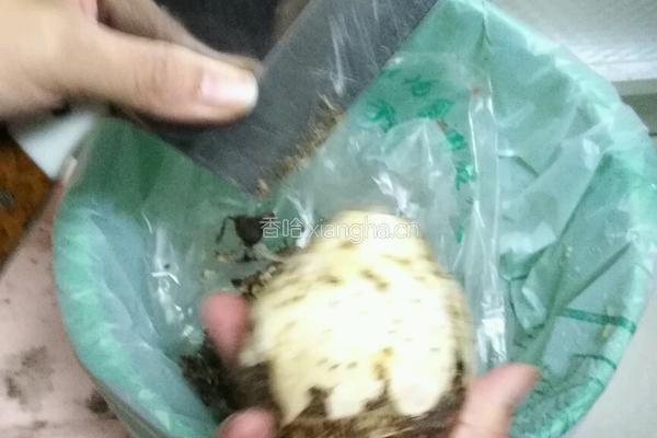 土豆蒸芋艿排骨的做法图解2