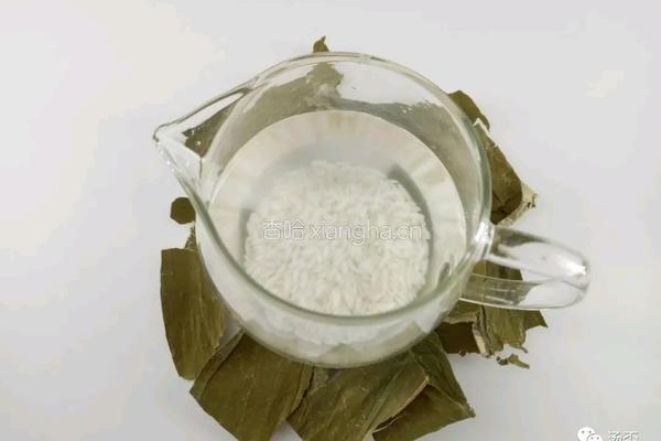 山药荷叶粥 清热不伤脾的做法图解2
