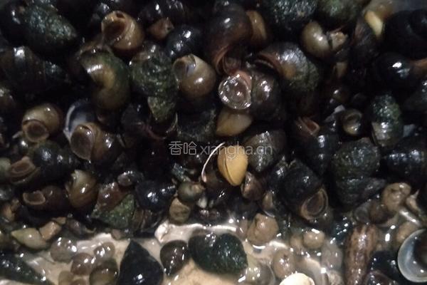 炒田螺的做法图解1