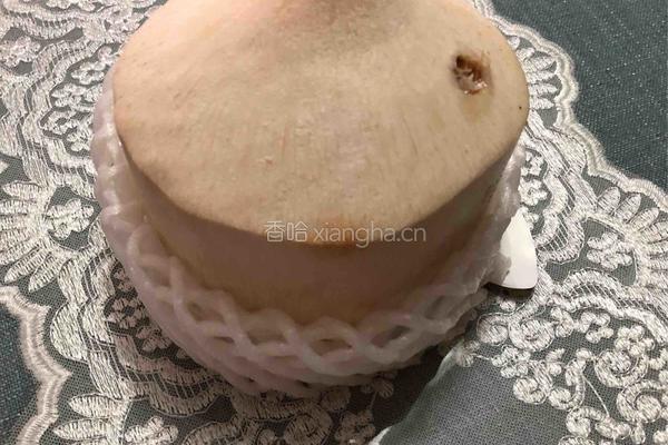 椰汁炖鸽子汤的做法图解1