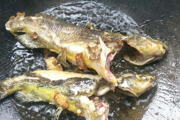 黄鸭叫豆腐汤的做法图解4