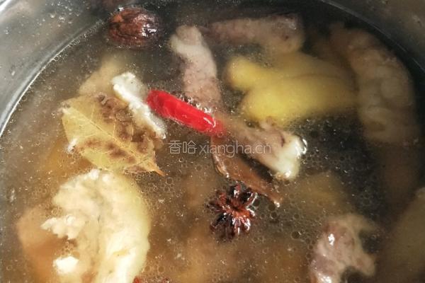 广式萝卜焖炖牛腩的做法图解4