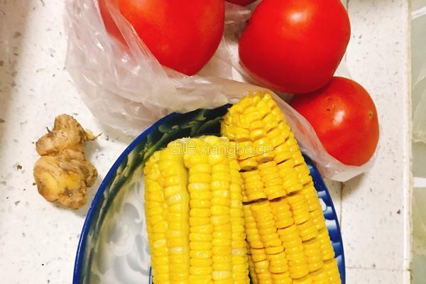 西红柿炖排骨的做法图解2