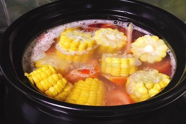 西红柿炖排骨的做法图解5