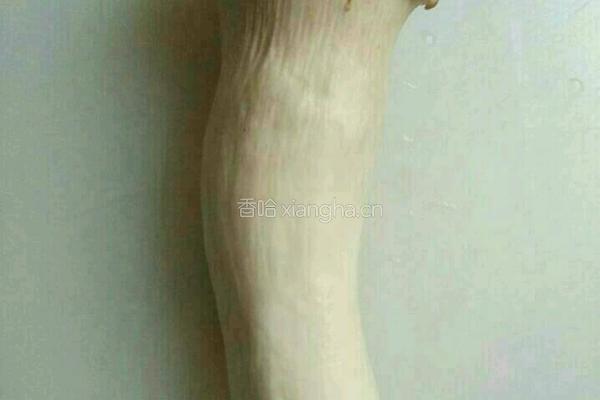 杏鲍菇炒胡萝卜的做法图解1