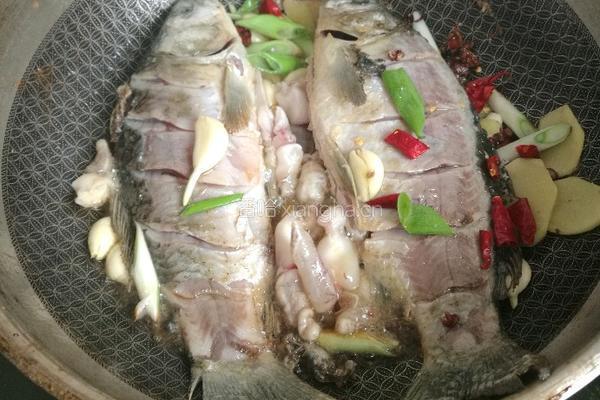 鲫鱼贴饼的做法图解7