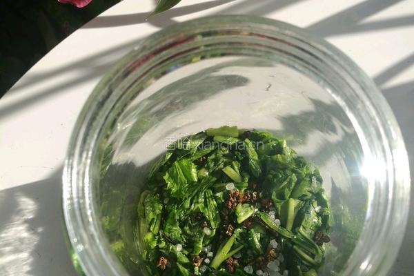 雪里红自制的做法图解7