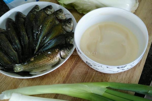 野生鲫鱼汤煮面皮的做法图解2