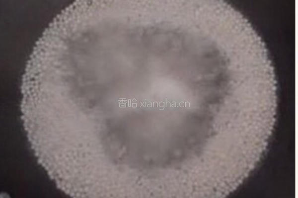 瘦肉珠子粉的做法图解2