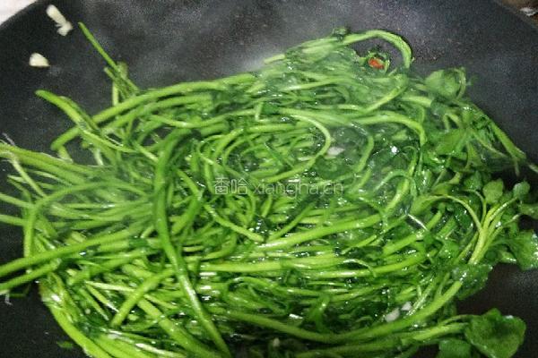 蒜蓉西洋菜的做法图解9