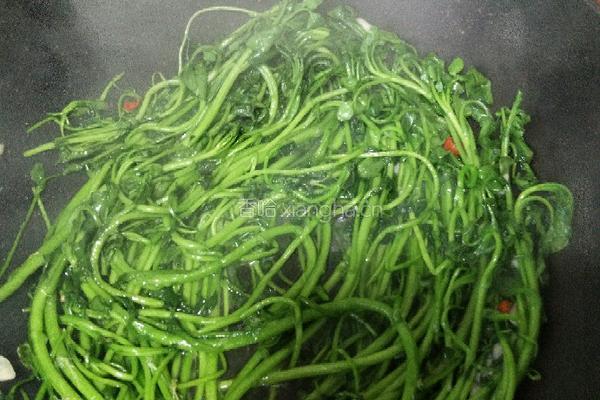 蒜蓉西洋菜的做法图解10