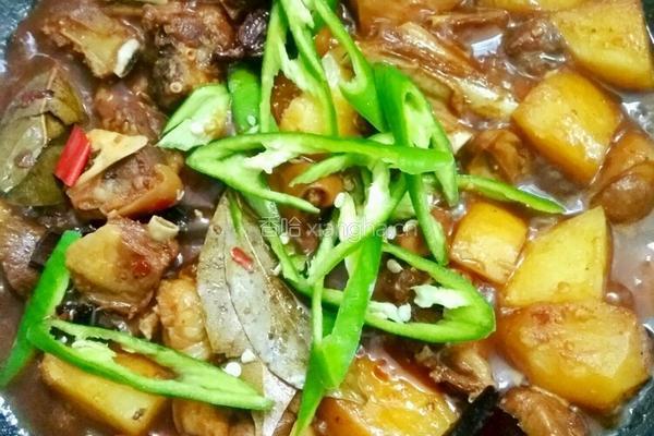 五香羊肉的做法图解11
