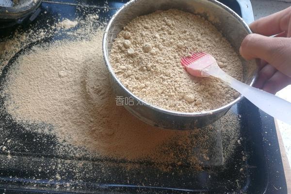 养胃破壁机版猴头菇粉的做法图解7