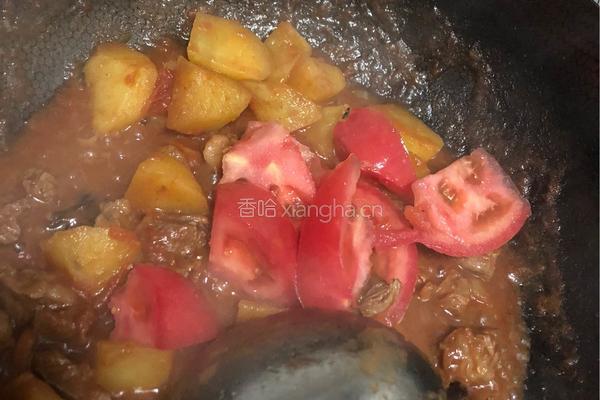 西红柿土豆炖牛腩的做法图解13