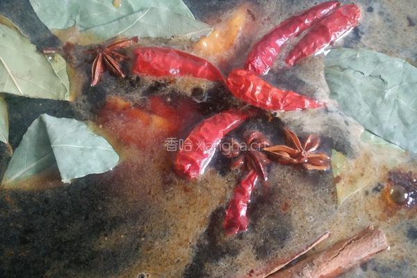 简易卤鸡腿的做法图解6