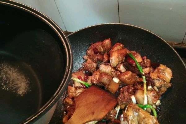 卤肉的做法图解10