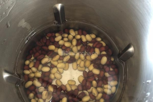 红枣红豆豆浆的做法图解2