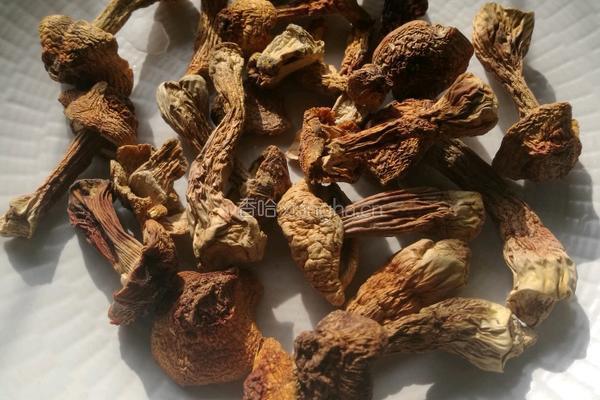 松茸瑶鸡汤的做法图解2