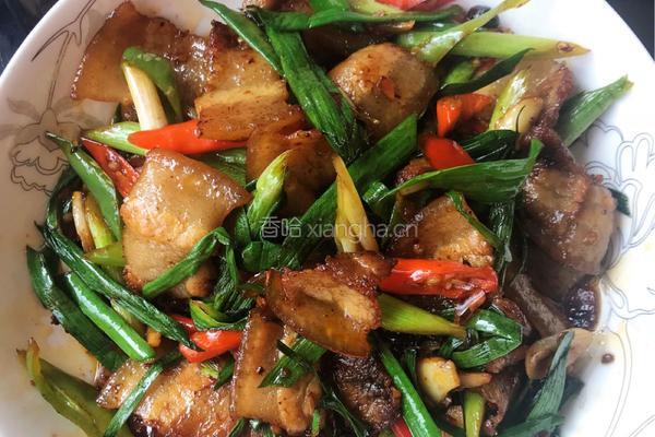 蒜苗回锅肉