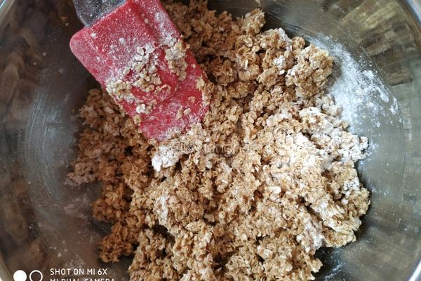 燕麦片酥饼的做法图解5