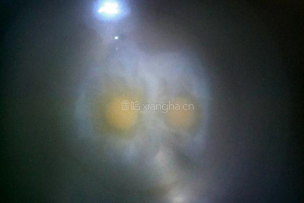 炸酱面的做法图解9