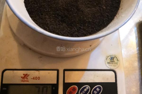 港式奶茶的做法图解2
