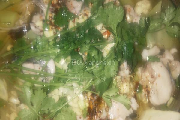 美味可口的酸菜鱼少不了自制泡菜的做法图解7