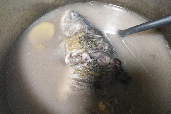 黑豆鲫鱼汤的做法图解18