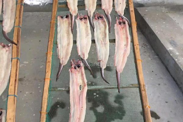 风鳗鱼的做法图解2