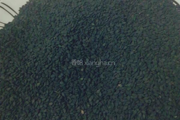 阿胶固元膏的做法图解5
