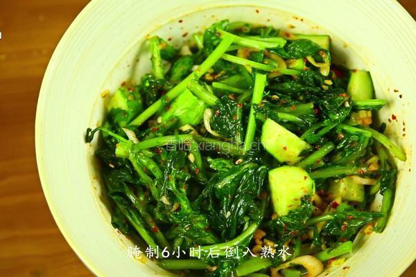 老妈的私房菜——萝卜樱水泡菜的做法图解12