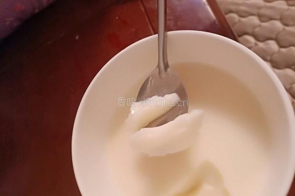 牛奶冻的做法图解4