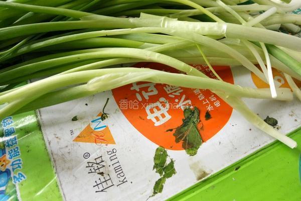 腊肉炒四季豆的做法图解3