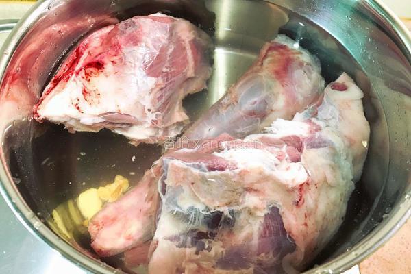 萝卜炖羊肉的做法图解4