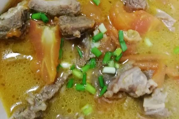 西红柿牛腩汤的做法图解8