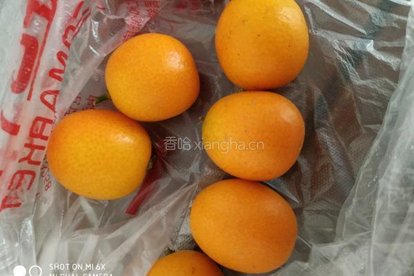 秘制金桔的做法图解1