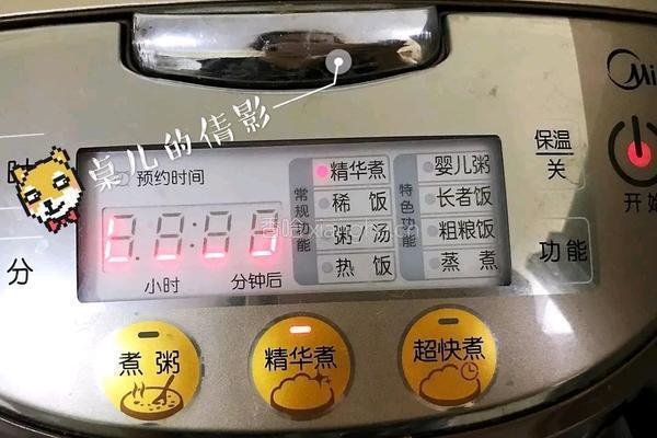 焗鸡之电饭煲版的做法图解19
