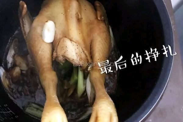 焗鸡之电饭煲版的做法图解20