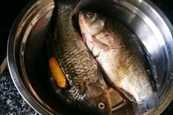 红烧豆腐鲫鱼的做法图解3