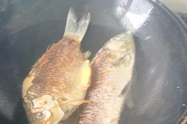 红烧豆腐鲫鱼的做法图解4