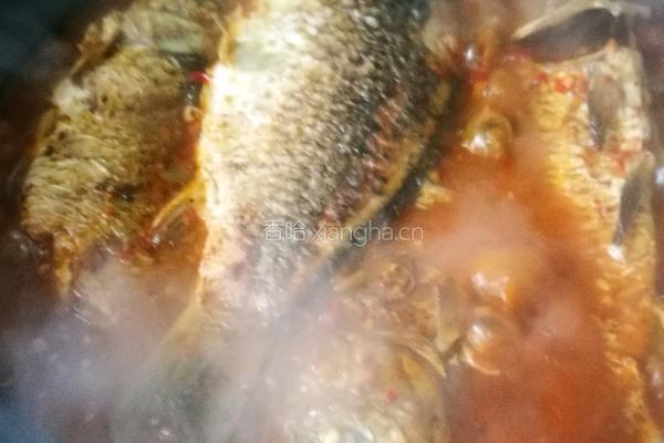 红烧豆腐鲫鱼的做法图解14