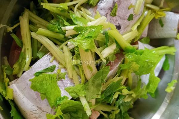芹香带鱼的做法图解4