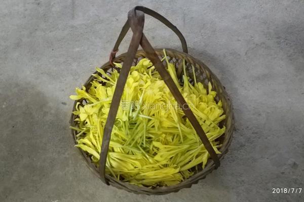 黄花菜酿的做法图解1