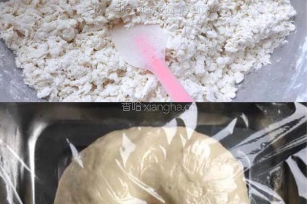 荠菜素饺子的做法图解3