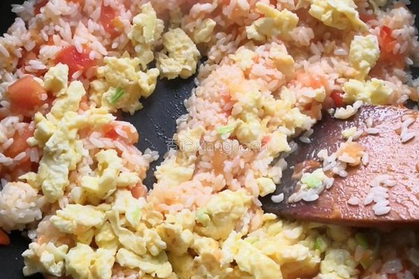 番茄鸡蛋炒饭的做法图解9