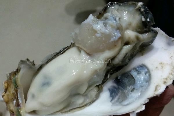 炸香酥海蛎子的做法图解3