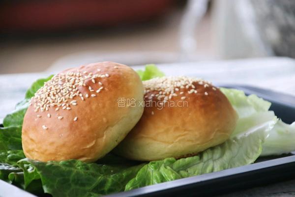 椰香汉堡胚(波兰种)