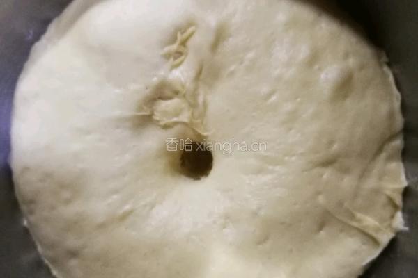 椰香汉堡胚(波兰种)的做法图解6