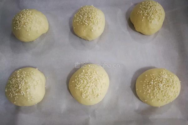 椰香汉堡胚(波兰种)的做法图解8