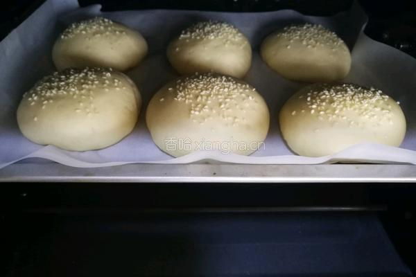 椰香汉堡胚(波兰种)的做法图解10